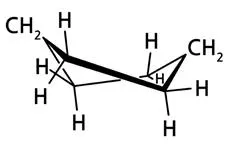 뒤틀린 보트형[twist-boat form]