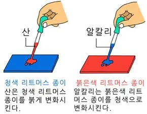 리트머스 종이[litmus paper]
