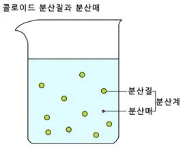 마이셀[micelle]