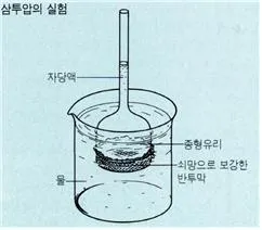 삼투압 [osmotic pressure, 渗透壓]