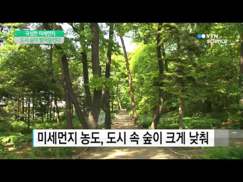 [사이언스 TV] '미세먼지 안심하세요'…도시 살리는 숲