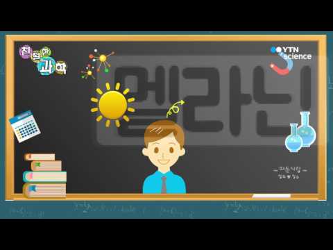 [사이언스 TV] 비타민D / 멜라닌 / 백색증(알비노)