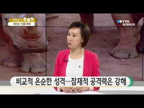 [사이언스 TV] 단단한 뿔로 야생을 제압한다…코뿔소
