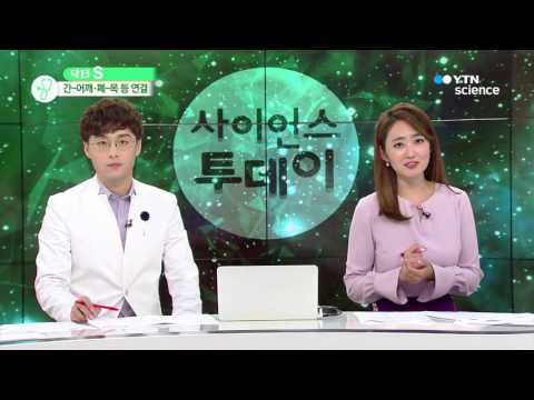 [사이언스 TV] 간암인데 어깨 통증이…뇌의 착각 '연관통'