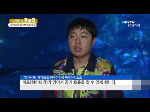 [사이언스 TV] 