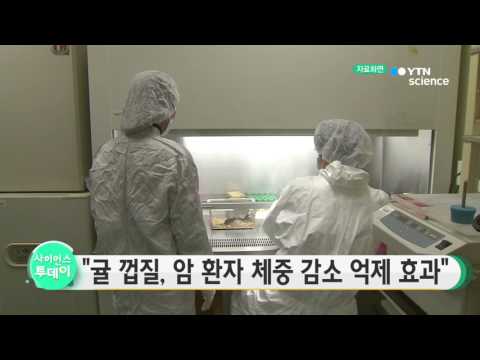 [사이언스 TV] 귤껍질로 암 환자의 체중감소 줄인다