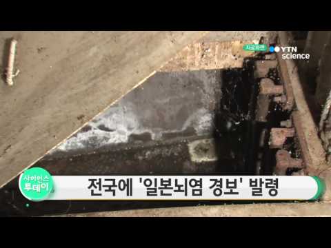[사이언스 TV] 질병관리본부, 전국에 일본뇌염 경보 발령