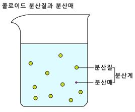 마이셀