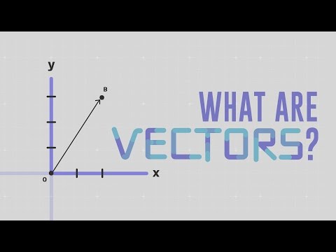 '벡터(Vectors)'란 무엇인가