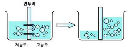 삼투압1
