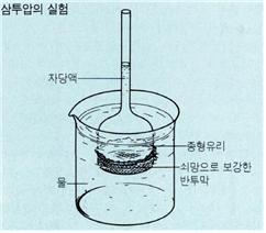 실험