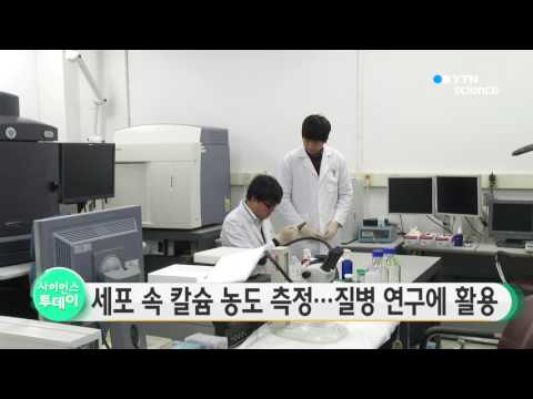 [사이언스 TV] 세포 속 칼슘 농도 측정…질병 연구에 활용