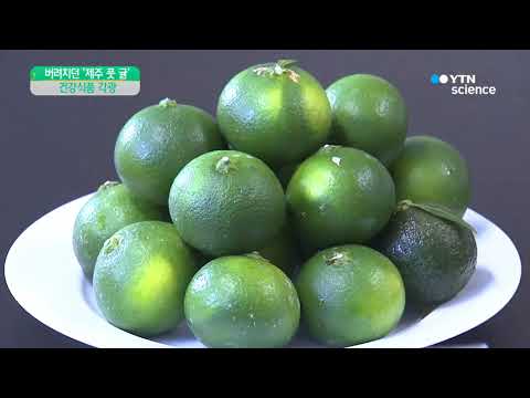 [사이언스 TV] 버려졌던 '제주 풋 귤' 소비자에 인기