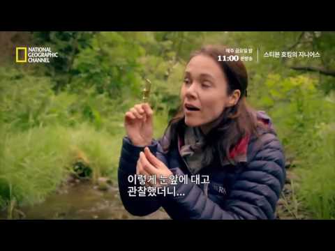 직접만든 현미경으로 미생물을 발견한 레벤후크