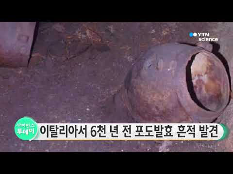 [사이언스 TV] 이탈리아서 6천 년 전 포도발효 흔적 발견