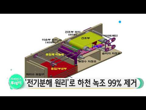 [사이언스 TV] '전기분해 원리'로 하천 녹조 99% 제거