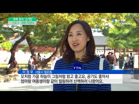 [사이언스 TV] 북쪽 고기압이 효자…스모그 밀어내고 태풍 막고
