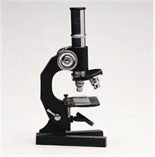 미시 상태 (microstate)