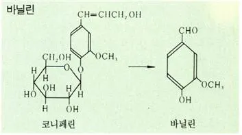 바닐린 [vanillin]