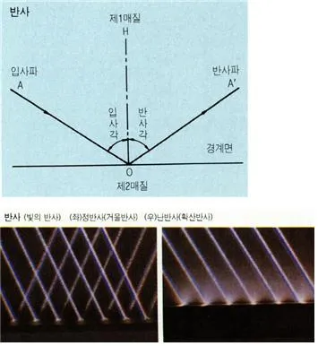반사 (reflection, 反射)