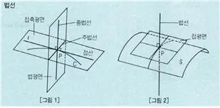 법선 (normal, 法線)