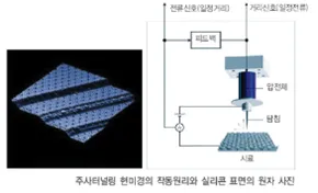 원자힘 현미경 (atomic force microscope)