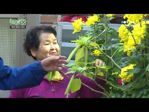 [사이언스 TV] 벽이 변하고 있다