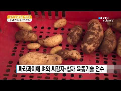 [사이언스 TV] 우리 농업기술로 한류 붐 선도