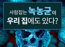 [카드뉴스] 사람잡는 녹농균이 우리 집에도 있다?