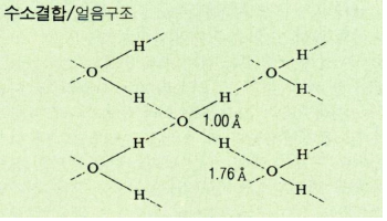 수소결합