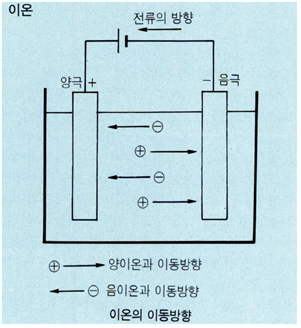 이온