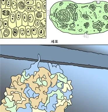 반응계 [reaction system, 反應系]