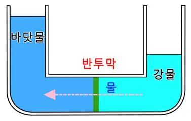 반투막 [semipermeable membrane, 半透膜]