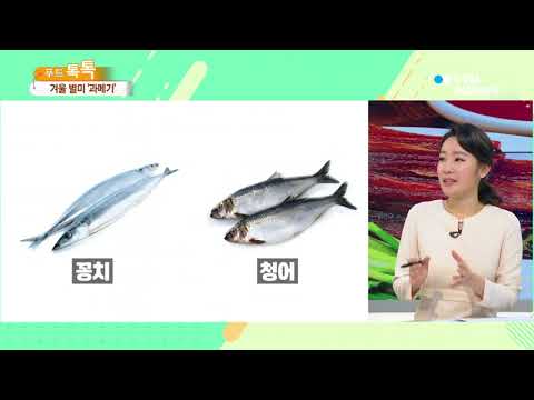 [사이언스 TV] 찬 바닷바람 맞고 맛·영양 쑥↑…겨울 별미 과메기