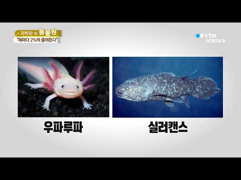 [사이언스 TV] 호랑이부터 코끼리까지…사라지는 우리 동물
