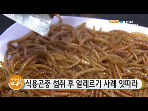 [사이언스 TV] 식용곤충 식품 섭취 후 알레르기 사례 잇따라
