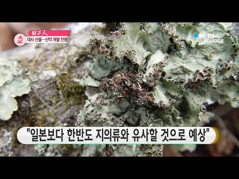 [사이언스 TV] 남극부터 사막까지 생존…땅의 옷 '지의류'를 아시나요?
