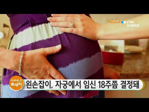 [사이언스 TV] 왼손잡이, 자궁에서 임신 18주쯤 결정돼