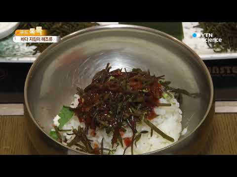 [사이언스TV] 바다 지킴이 해조류…미세먼지를 부탁해!
