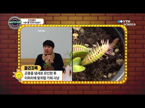 [사이언스TV] 곤충을 먹고 산다!…식충식물 사냥 비법은?