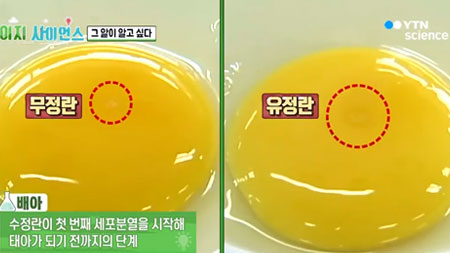  '그 알'이 알고 싶다