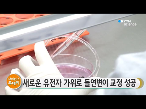 [사이언스TV] 새로운 유전자 가위로 돌연변이 교정 성공