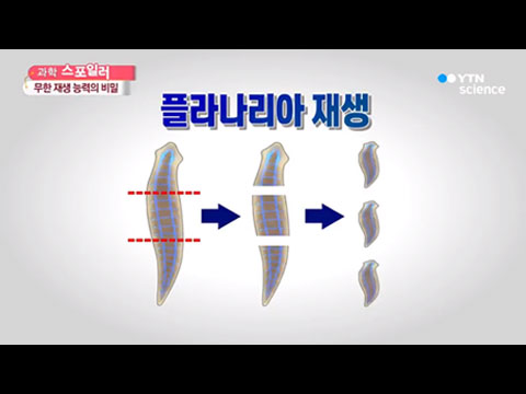 [사이언스TV] 죽지 않는 19금 히어로, 영화 '데드풀2'