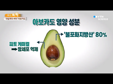 [사이언스TV] 과일계의 버터 아보카도