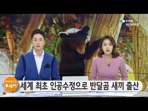 [사이언스TV] 세계 최초 인공수정으로 반달곰 새끼 출산