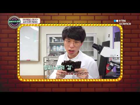 [사이언스TV] 단골 반찬 '김' 현미경으로 살펴본다면