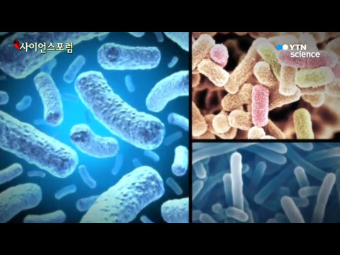 [사이언스TV] 식중독 예방, 미생물의 바른 이해로부터