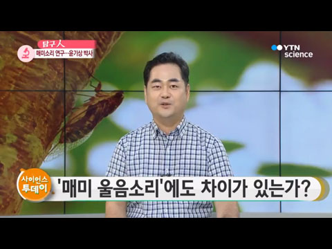 [사이언스TV] 매미 소리에도 사투리가 있다