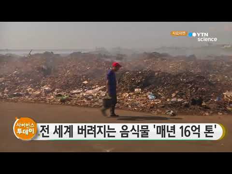 [사이언스TV] 전 세계 버려지는 음식물 '매년 16억 톤'
