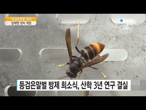 [사이언스TV] 꿀벌 초토화시키는 '등검은말벌' 꼼짝 마!